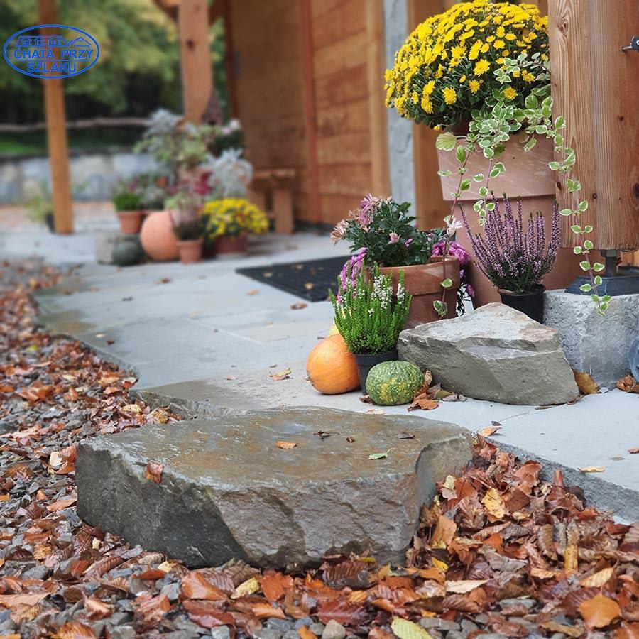 Majówka z jogą w Chacie Przy Szlaku