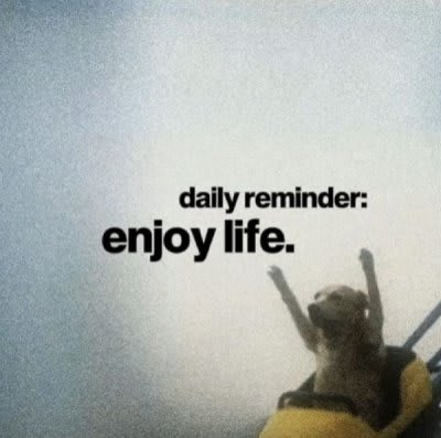 Zdjęcie z galerii nauczyciela 5