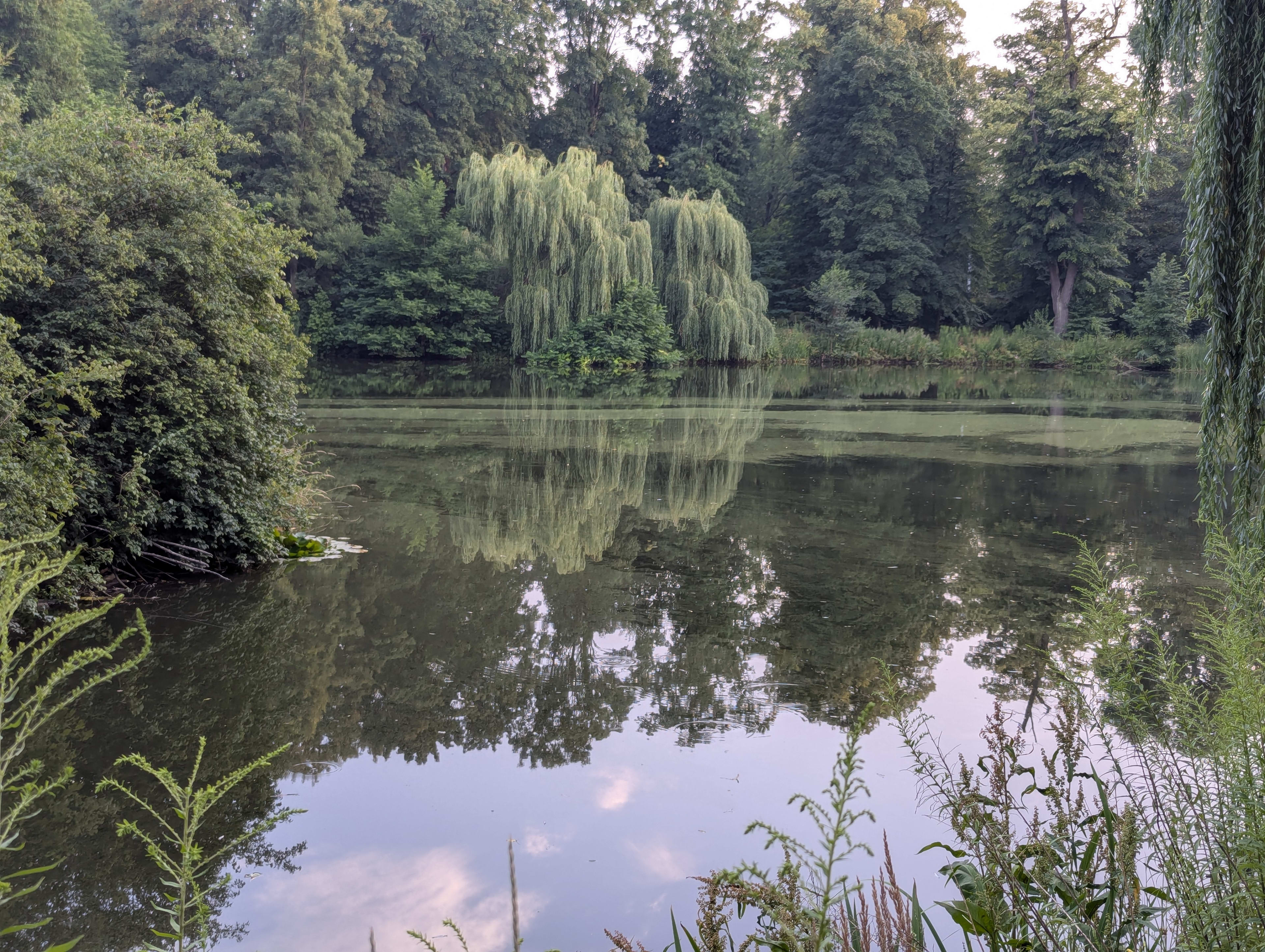 Zdjęcie z galerii nauczyciela 3