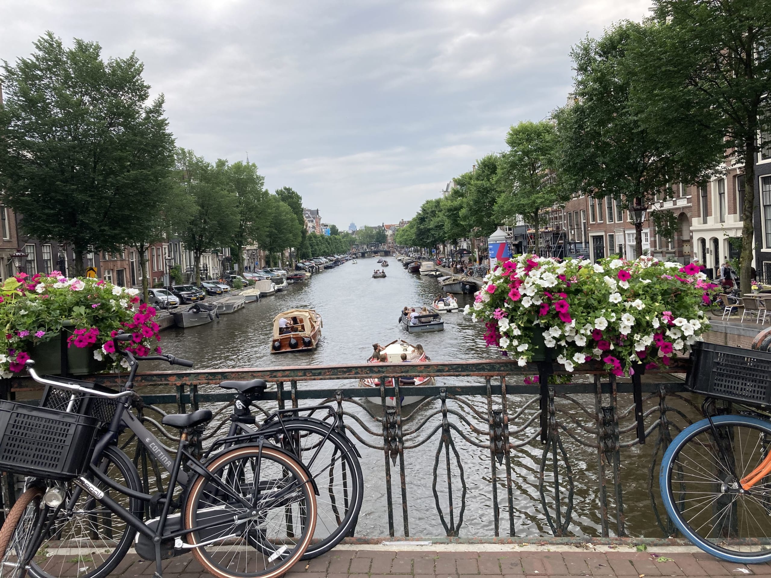 Amsterdam, Rotterdam & the South
