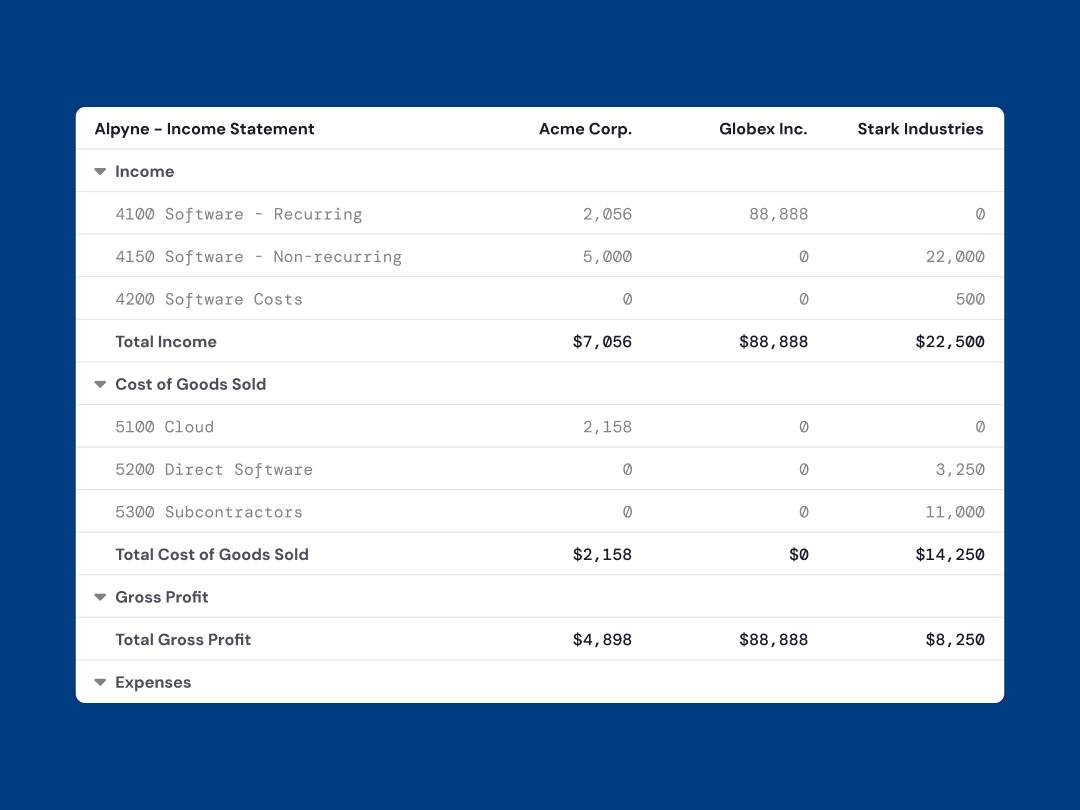 Alpyne UI showing multiple account ledgers
