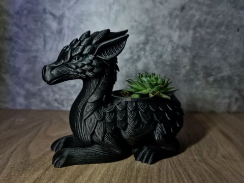 Maceta  Dragon