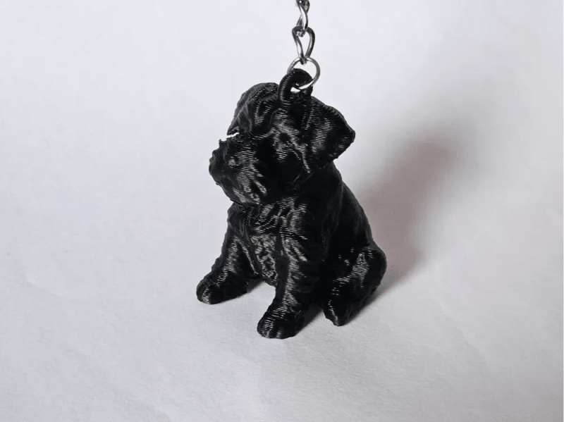 Schnauzer Mini