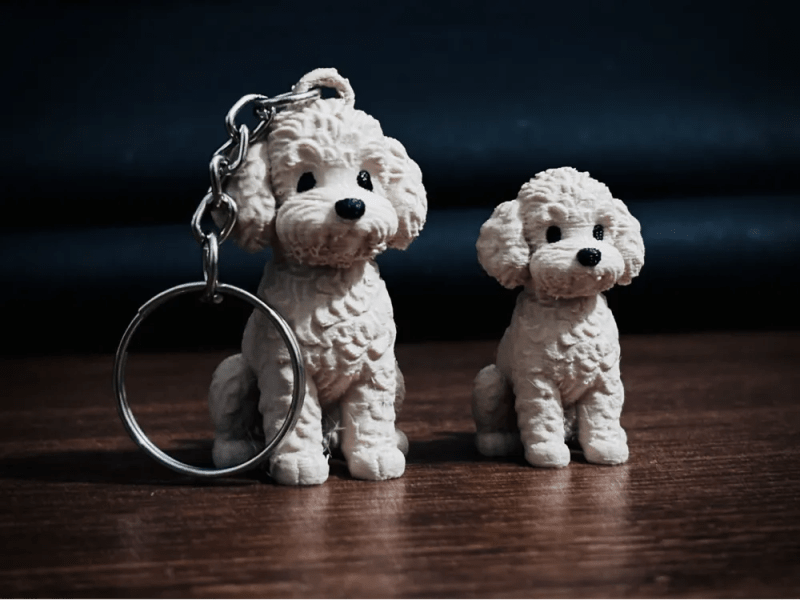 Caniche Mini
