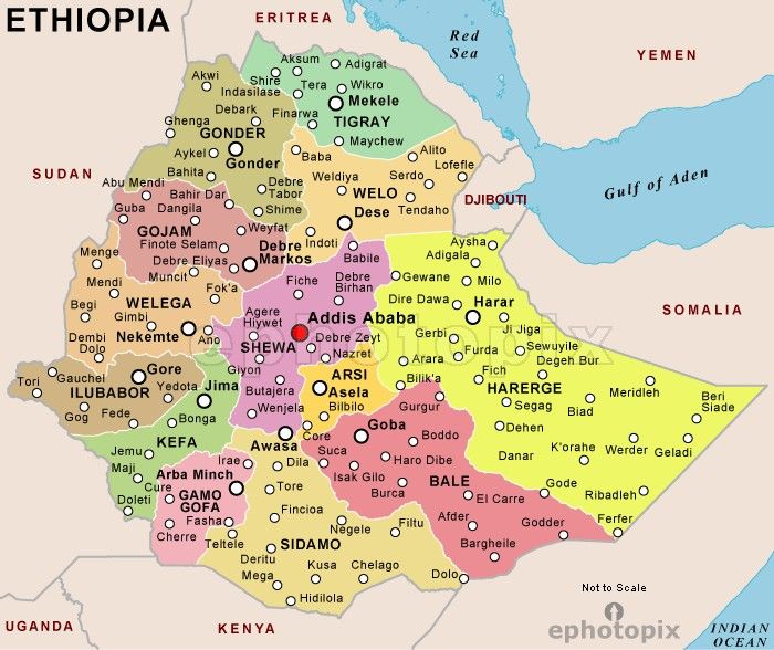 Federal Ruling on Contested Districts Sparks Protests and Legal Battles in Northern Ethiopia