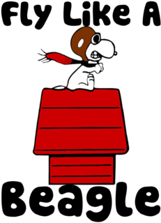 A Few Peanuts / Snoopy / Charlie Brown Preservation - Airplane - Free Transparent PNG Clipart Images Download. - Transparent PNG Free Download