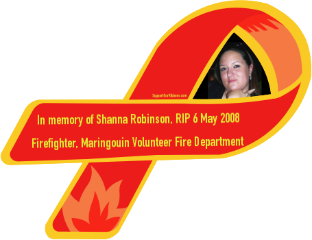 In Memory Of Shanna Robinson, Rip 6 May 2008 / Firefighter, - Airplane - Free Transparent PNG Clipart Images Download. - Transparent PNG Free Download