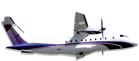 Airplane Flights In Planes With A View Travel Faster - Dornier 328 - Free Transparent PNG Clipart Images Download. - Transparent PNG Free Download
