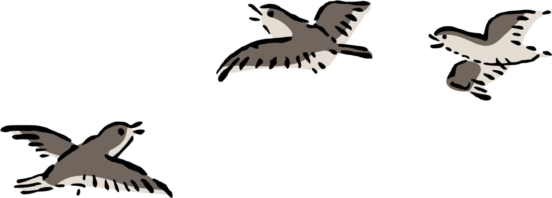 Bird Flight Bird Flight Columbidae Airplane - Clip Art Birds Flying - Free Transparent PNG Clipart Images Download. - Transparent PNG Free Download