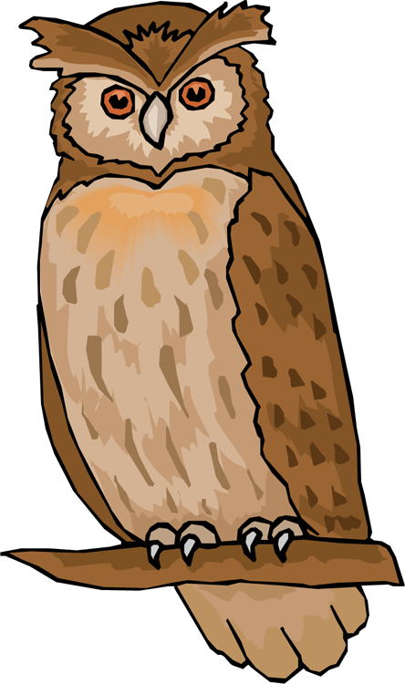 Clipart Of Owl Free Owl Clipart Animations - Owl Images Clip Art - Free Transparent PNG Clipart Images Download. - Transparent PNG Free Download