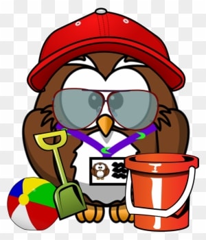 Cartoon Owl Shower Curtain - Free Transparent PNG Clipart Images Download. - Owl Transparent PNG Free Download