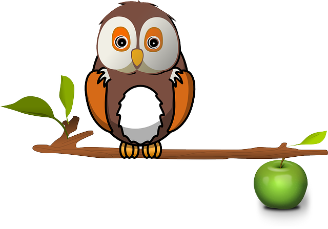 Apple Zweig Eule Baum Eule Eule Eule Eule - Owl On Branch Clipart - Free Transparent PNG Clipart Images Download. - Owl Transparent PNG Free Download