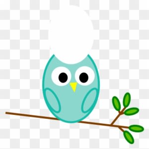 Baby Boy Owl Clip Art - Free Transparent PNG Clipart Images Download. - Owl Transparent PNG Free Download