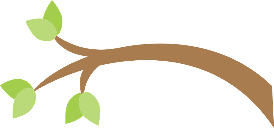 Corujas 2 - Minus - Owls - Free Transparent PNG Clipart Images Download. - Owl Transparent PNG Free Download