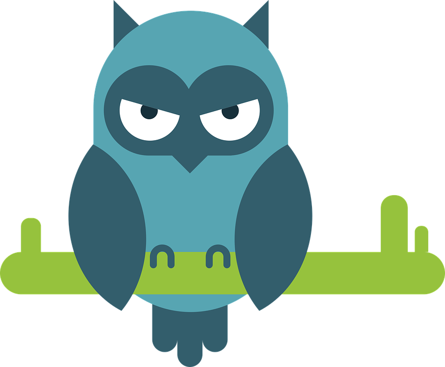 Pöllö, Koominen, Eläinten Muotokuva - Owl Comic - Free Transparent PNG Clipart Images Download. - Owl Transparent PNG Free Download