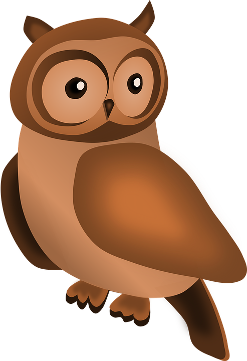 Bird, Owl, Statuette, Wooden - Peace Love Owls Shower Curtain - Free Transparent PNG Clipart Images Download. - Owl Transparent PNG Free Download