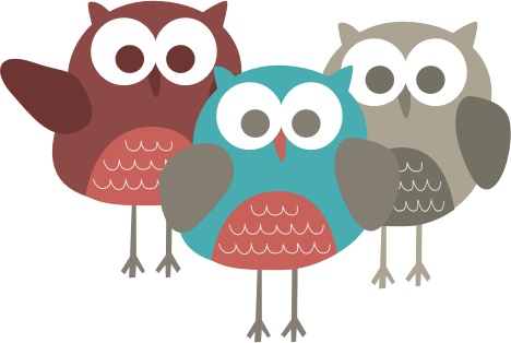 Il Owl Family - Owl - Free Transparent PNG Clipart Images Download. - Owl Transparent PNG Free Download