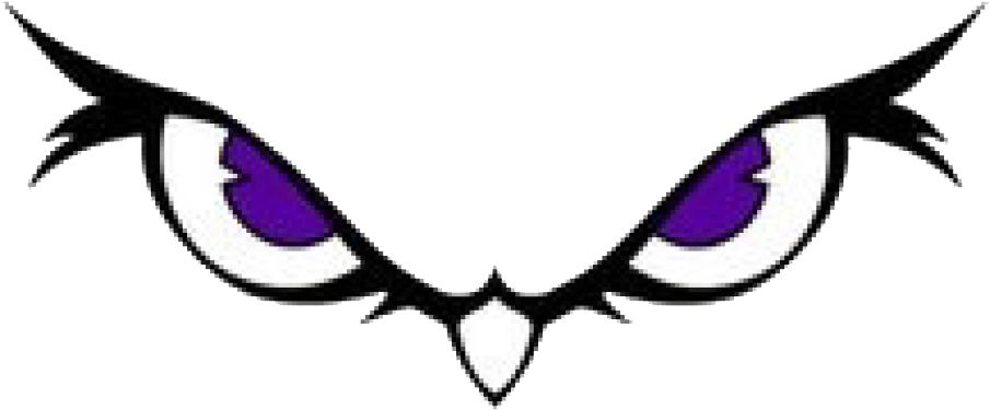 Seymour Owls - Seymour Owls - Free Transparent PNG Clipart Images Download. - Owl Transparent PNG Free Download