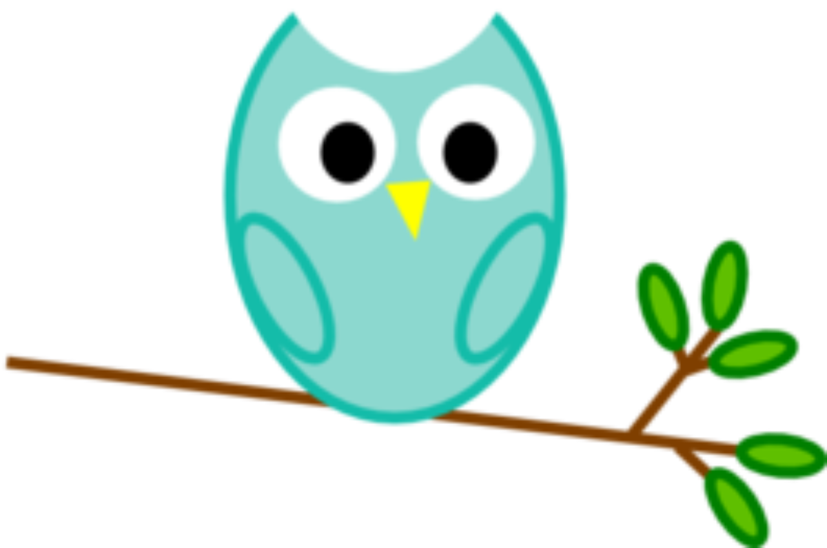 The Owl And The Olive Tree - Owl Clip Art - Free Transparent PNG Clipart Images Download. - Owl Transparent PNG Free Download