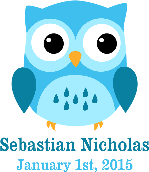 Blue Owl Custom Baby Name Birthdate Teddy Bear - Blue Night Owl Shower Curtain - Free Transparent PNG Clipart Images Download. - Owl Transparent PNG Free Download