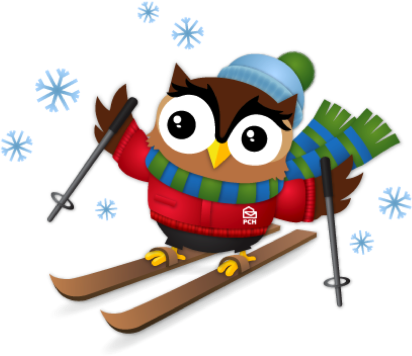 Edwin Winter Activities - Ski Owl Clip Art - Free Transparent PNG Clipart Images Download. - Owl Transparent PNG Free Download