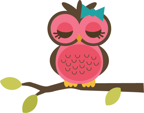 Owl On Branch - Owl Svg File Free - Free Transparent PNG Clipart Images Download. - Owl Transparent PNG Free Download