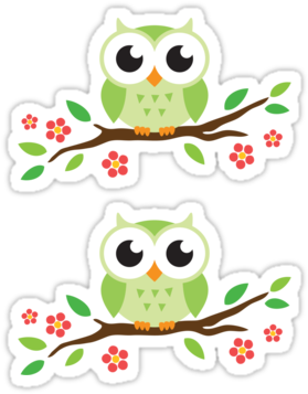 Portfolio › Cute Green Cartoon Owl On Floral Branch - Cartoon Owl On A Branch - Free Transparent PNG Clipart Images Download. - Owl Transparent PNG Free Download