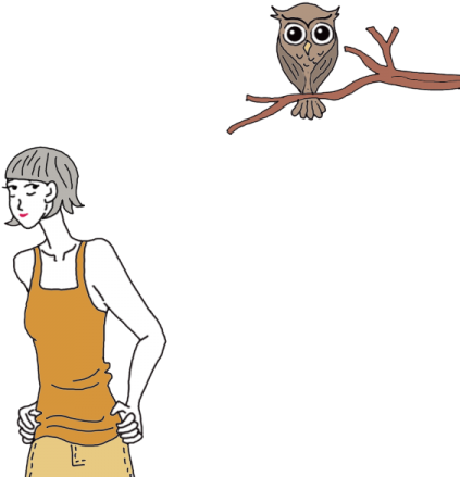 Owl - Owl - Free Transparent PNG Clipart Images Download. - Owl Transparent PNG Free Download