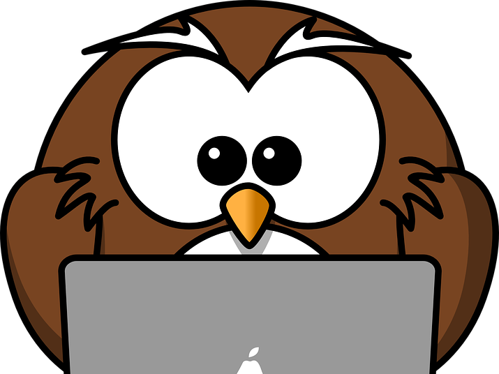 Quiz On James And The Giant Peach By Roald Dahl - Cartoon Owl - Free Transparent PNG Clipart Images Download. - Owl Transparent PNG Free Download