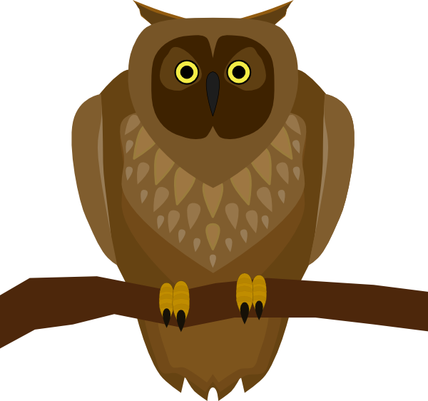 Owl Sitting On A Branch - Free Transparent PNG Clipart Images Download. - Owl Transparent PNG Free Download