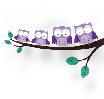 The Breathing Sleeping Bag - Screech Owl - Free Transparent PNG Clipart Images Download. - Owl Transparent PNG Free Download