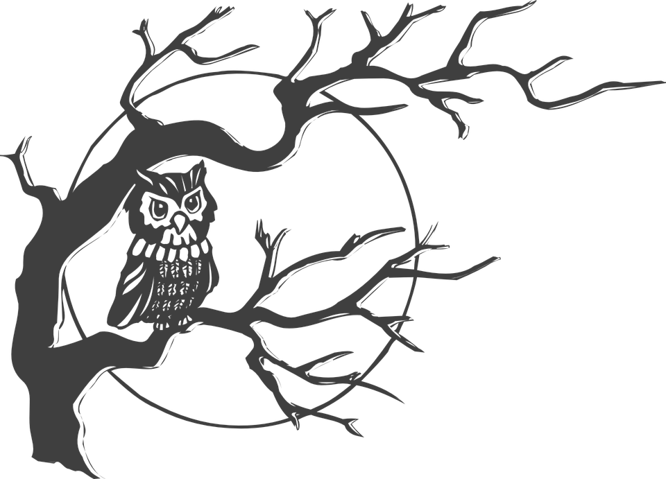Creepy Clipart Moon - Owl On A Tree Drawing - Free Transparent PNG Clipart Images Download. - Owl Transparent PNG Free Download