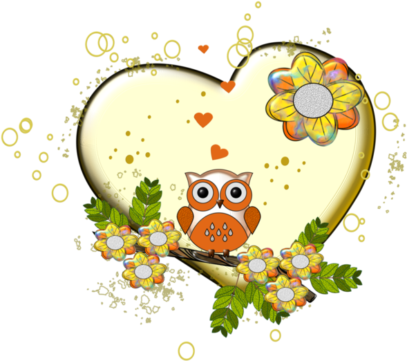 Owl - Free Transparent PNG Clipart Images Download. - Owl Transparent PNG Free Download