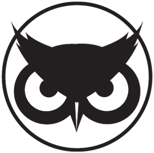 Mr - Owl - Mr Owl - Free Transparent PNG Clipart Images Download. - Owl Transparent PNG Free Download