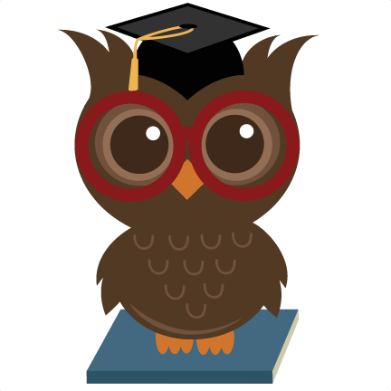 Wise Owl Vector - Wise Owl - Free Transparent PNG Clipart Images Download. - Owl Transparent PNG Free Download
