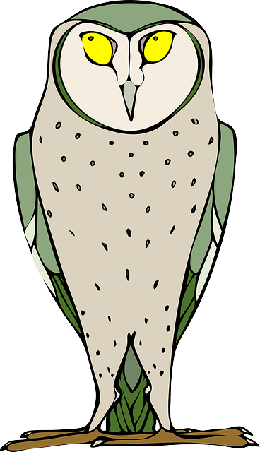Free Vector Staring Standing Owl Clip Art - Owl Clip Art - Free Transparent PNG Clipart Images Download. - Owl Transparent PNG Free Download