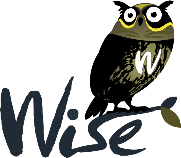 Wise Logo - Owl Logo Design .png - Free Transparent PNG Clipart Images Download. - Owl Transparent PNG Free Download