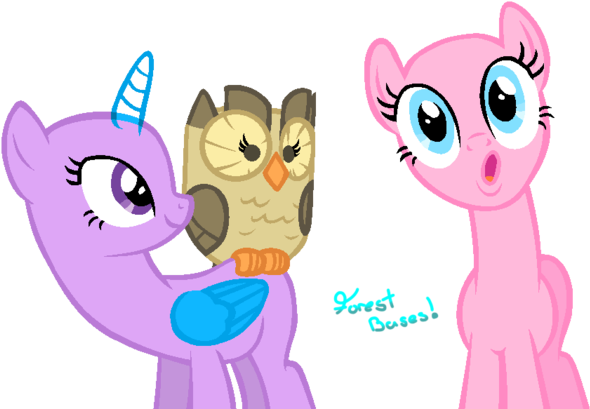 Melodysweetheart 1,196 96 Hoot Hoot - Mlp Owl Base - Free Transparent PNG Clipart Images Download. - Owl Transparent PNG Free Download