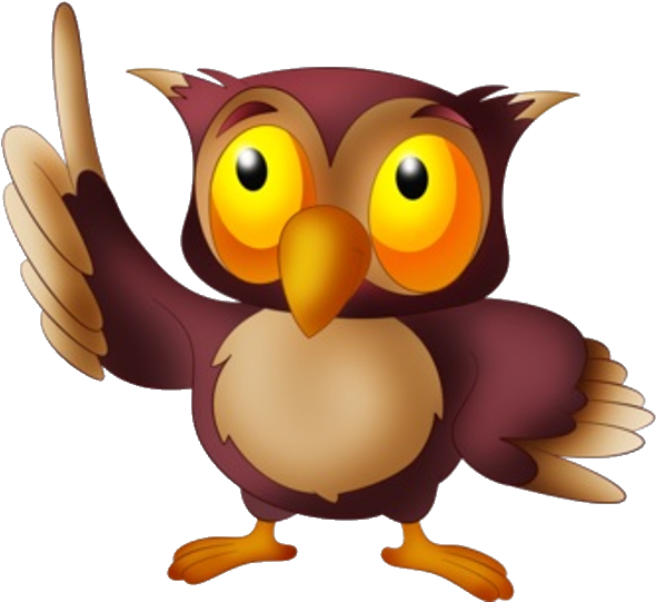 Owl#39s Bird Images - Owl Cartoon Images Png - Free Transparent PNG Clipart Images Download. - Owl Transparent PNG Free Download
