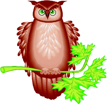 Owl - Owl - Free Transparent PNG Clipart Images Download. - Owl Transparent PNG Free Download