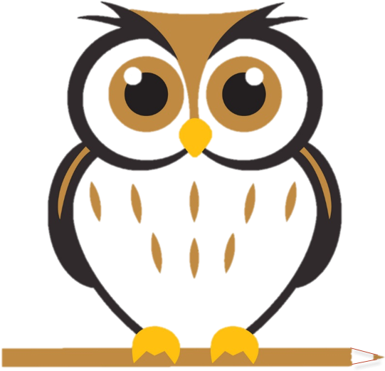 Cartoon Pictures Of Owl - Free Transparent PNG Clipart Images Download. - Owl Transparent PNG Free Download