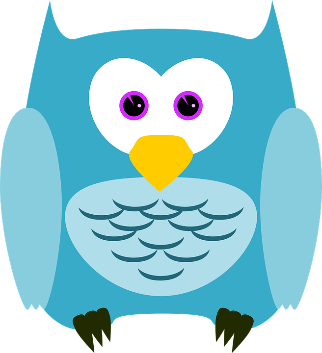 Boy Owl Cliparts 13, Buy Clip Art - Turquoise Owl Round Ornament - Free Transparent PNG Clipart Images Download. - Owl Transparent PNG Free Download