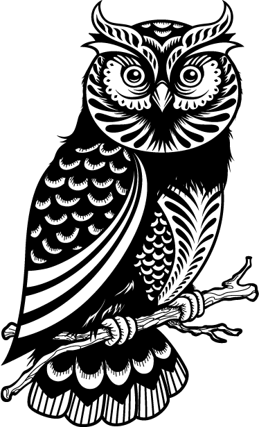 Vinilo Decorativo Dibujo Búho En Rama - Owl Illustration - Free Transparent PNG Clipart Images Download. - Owl Transparent PNG Free Download