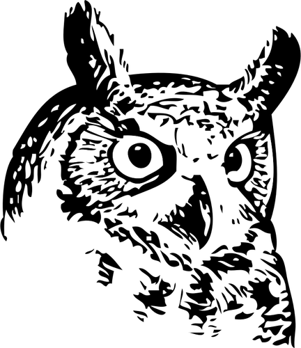 Owl Head Vector Image - Owl Png Black And White - Free Transparent PNG Clipart Images Download. - Owl Transparent PNG Free Download