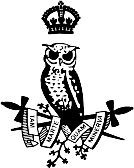 Drawn Owl Minerva - Owl With Sword - Free Transparent PNG Clipart Images Download. - Owl Transparent PNG Free Download