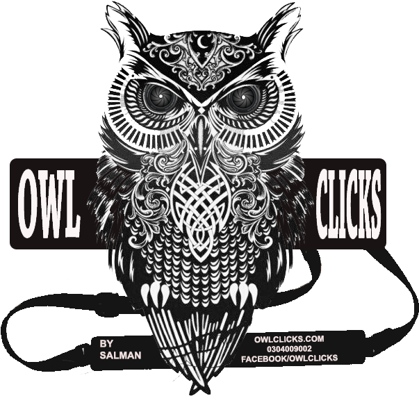 Feathers Gifs Wifflegif - Rachel Caldwell Canvas Wall Art - Warrior Owl - Free Transparent PNG Clipart Images Download. - Owl Transparent PNG Free Download