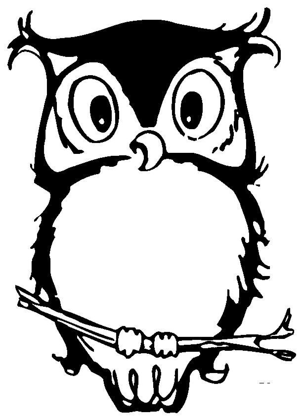 Owl - - Owl - Free Transparent PNG Clipart Images Download. - Owl Transparent PNG Free Download