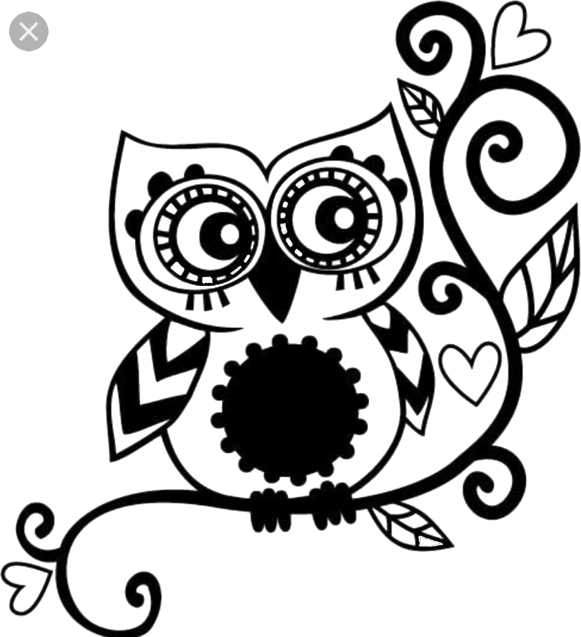 Find This Pin And More On Quotes/shapes By Dsign7 - Owl Decal - Free Transparent PNG Clipart Images Download. - Owl Transparent PNG Free Download