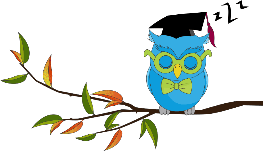 Payment - Wise Owl Animated Gif - Free Transparent PNG Clipart Images Download. - Owl Transparent PNG Free Download