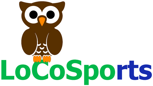 Fowler Memorial Scholarship - Cartoon Owl Shower Curtain - Free Transparent PNG Clipart Images Download. - Owl Transparent PNG Free Download